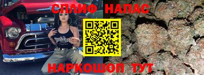 сатива Обнинск