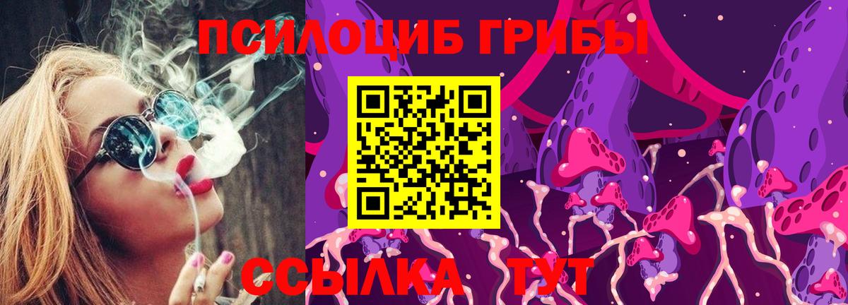 продажа наркотиков  Вход с VPN  Скопин  Галлюциногенные грибы прущие грибы 